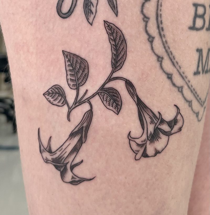 Hannah Newman portfolio — Apollo Tattoo Studio, Selected work by Hannah, piece 6