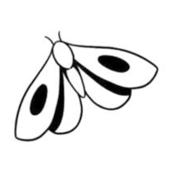 Moth flash 11 — Apollo Tattoo Studio