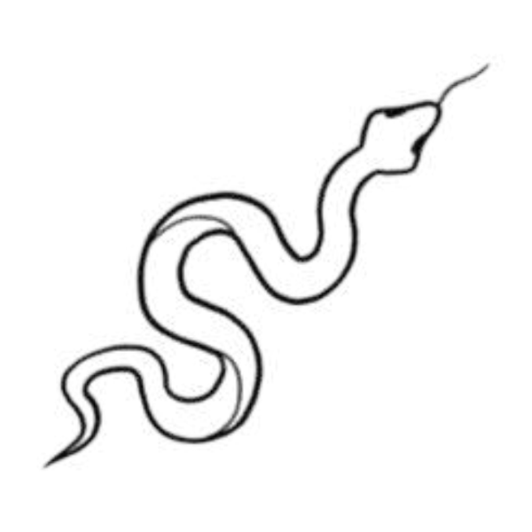 Snake flash 16 — Apollo Tattoo Studio