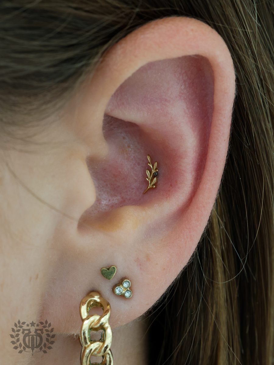 Solid gold body jewelry in a healed conch piercing