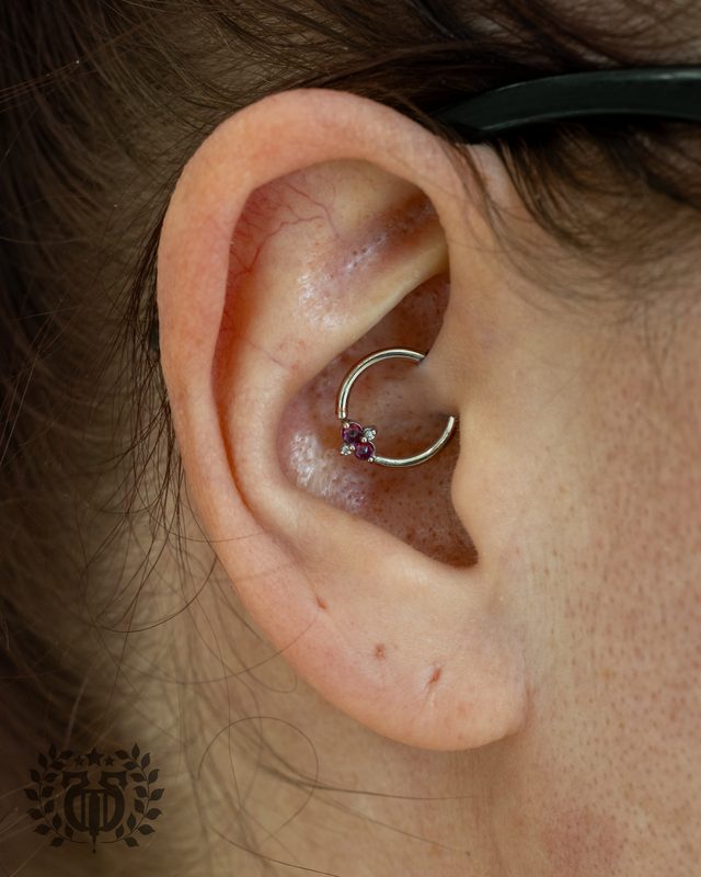 Daith Piercing at Apollo Tattoo & Piercing Studio — Apollo Tattoo & Piercing Studio 5