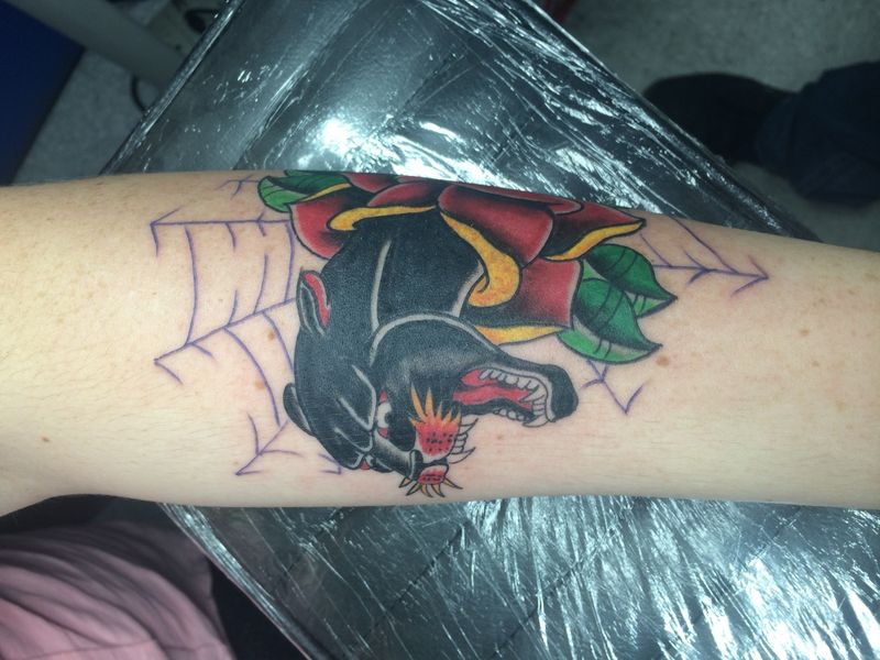 Snake — Apollo Studio Los Angeles
