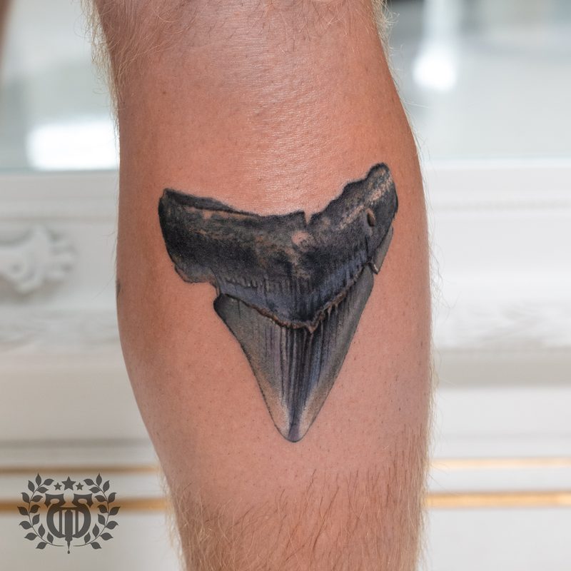 Wolf — Apollo Studio Los Angeles