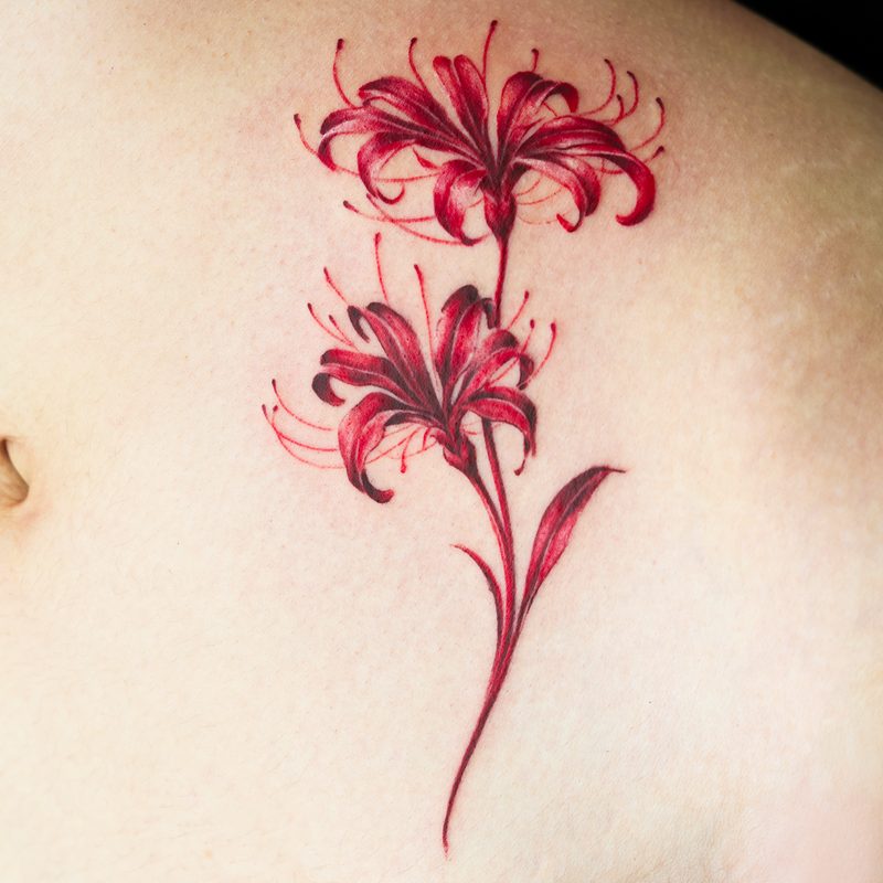 Hummingbird — Apollo Studio Los Angeles