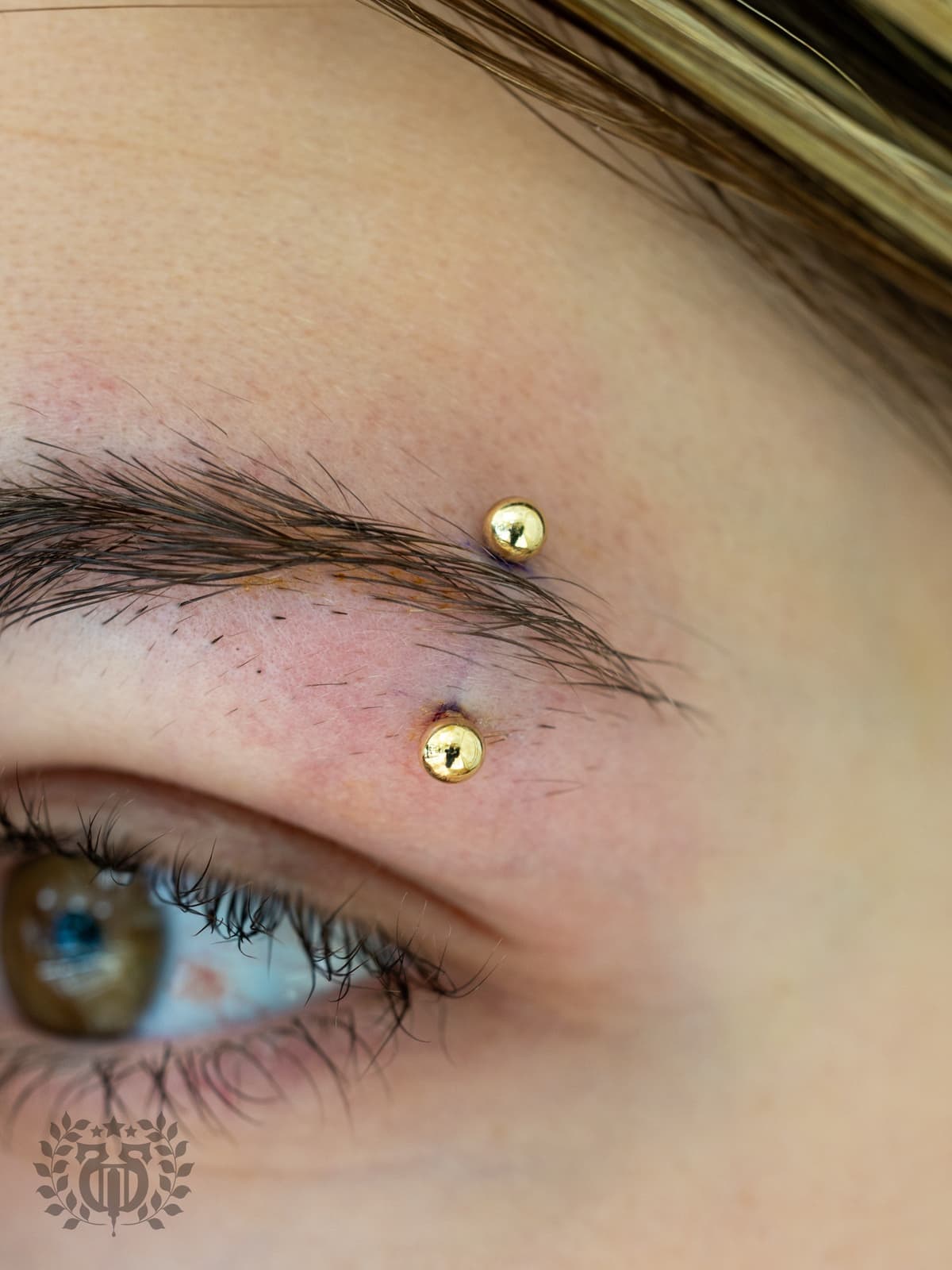 Gold curved barbell eyebrow piercing macro close-up at Apollo Studio