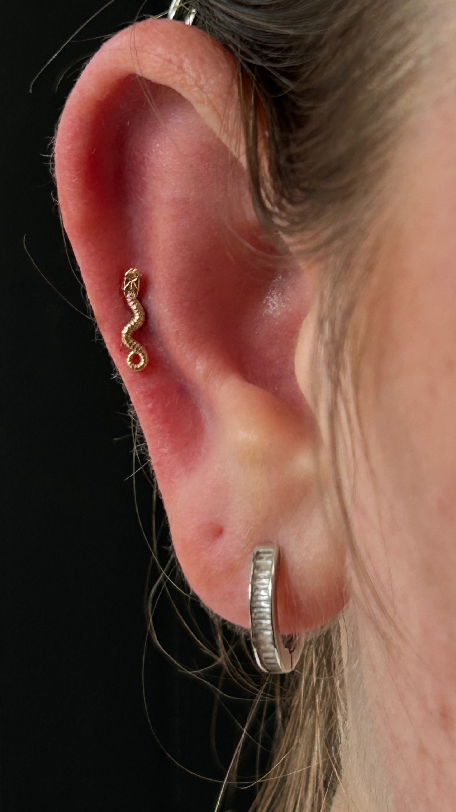 BVLA conch jewelry close-up at Apollo Los Angeles