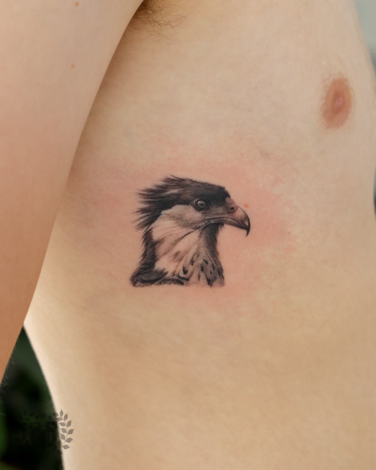 Black and grey realistic eagle head realism tattoo on chest in Los Angeles
