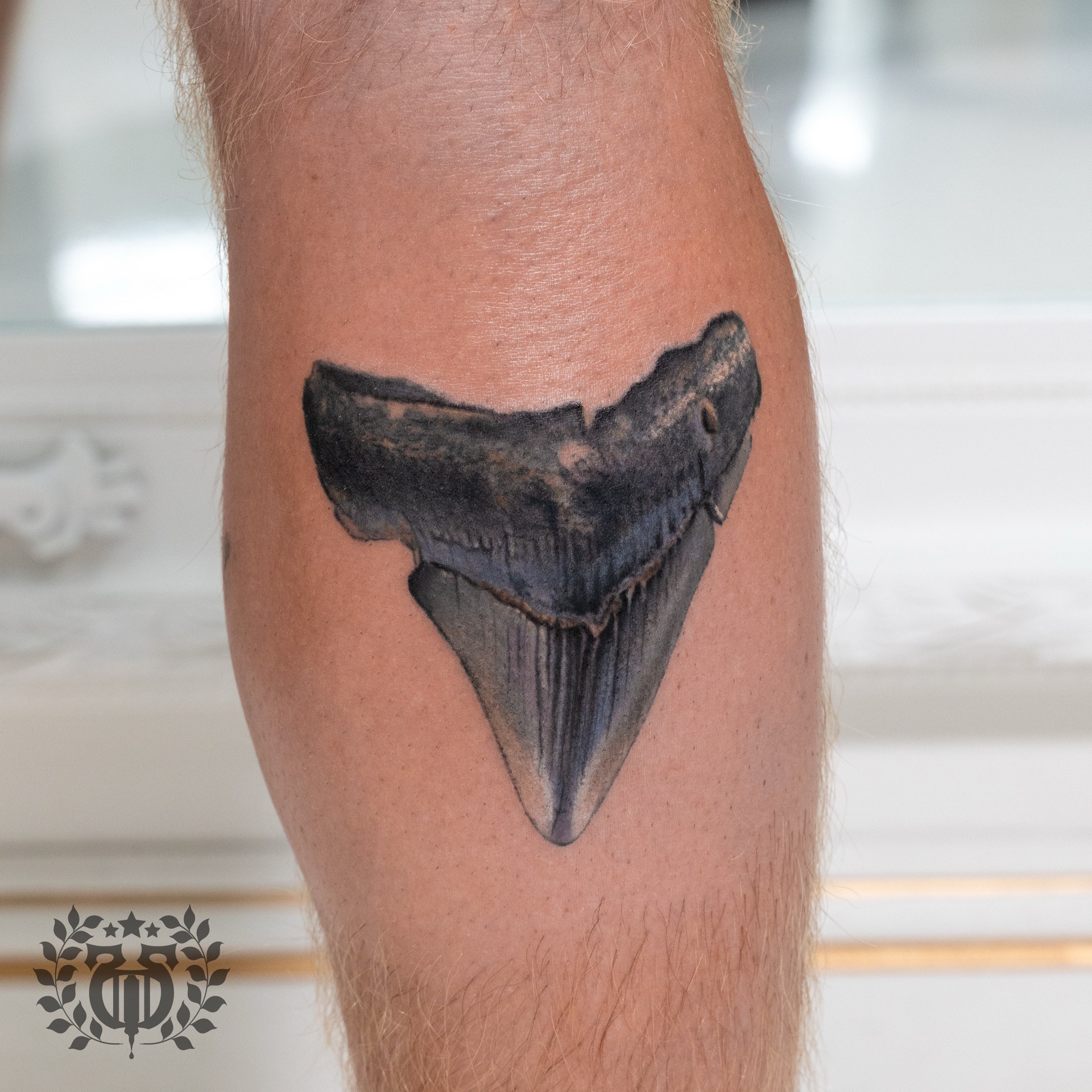 Color Realism
