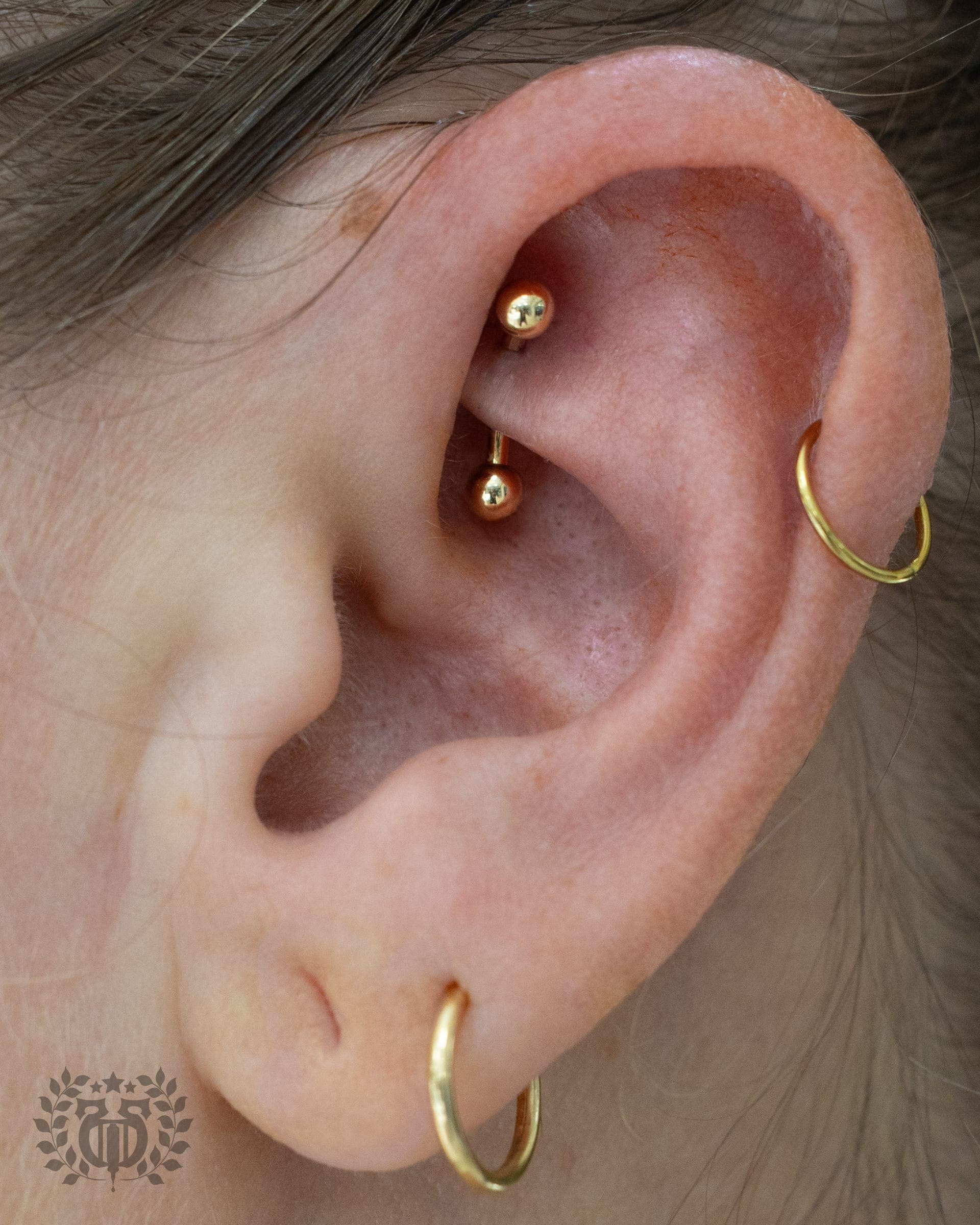 Rook piercing at Apollo Studio Los Angeles